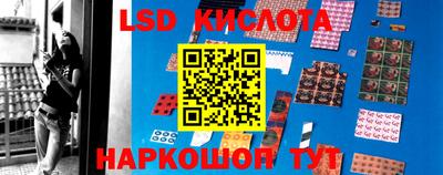 прущие грибы Можайск