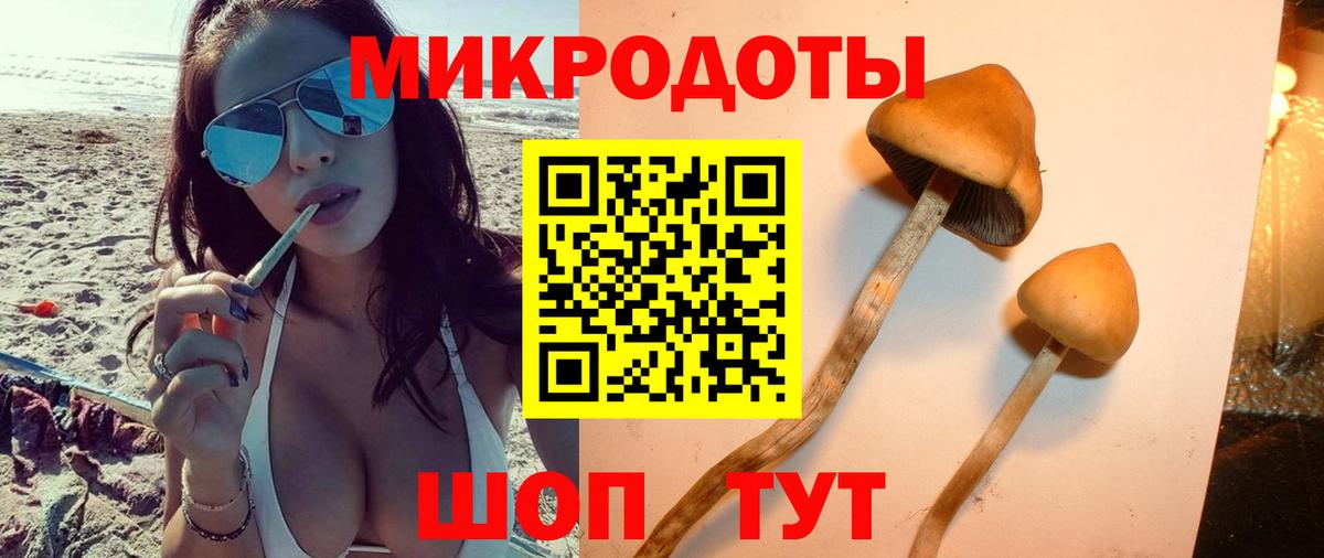 Волгоград  Галлюциногенные грибы мицелий  Вход с VPN 